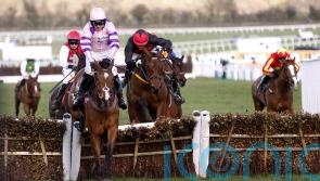 Punchestown now a possibility for Affordale Fury