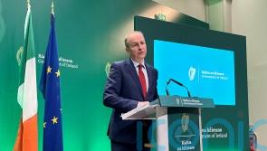 Garda investigations may create ‘challenges’ for Defence Forces inquiry – Martin