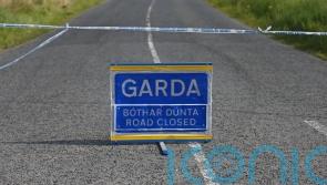 Gardaí appeal for information as man dies in early morning crash in Offaly