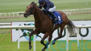 O’Brien’s City Of Troy marches to exciting debut success at the Curragh