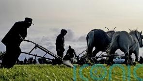 EU Commissioner does not want to ‘decimate’ farming, Irish MEPs say