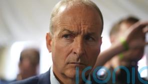 Micheal Martin says vitriol towards politicians ‘getting more dangerous’
