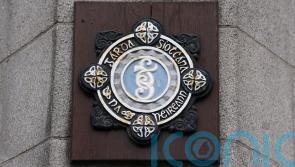 Garda attacked after stopping vehicle in Dublin