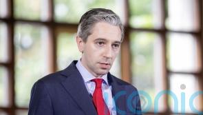 Irish Government stands by 50m euro commitment to Casement Park &ndash; Harris