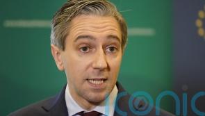Rotation of Irish peacekeepers in Lebanon ‘will be done safely’