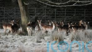 Emergency team meeting as country braces for &lsquo;multi-hazard weather event&rsquo;