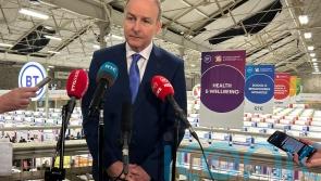 ‘We need to hold our nerve’ amid Trump presidency, says Irish deputy premier