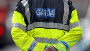 Gardai are a ‘force in crisis’ – Kelly
