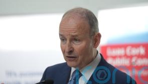 Taoiseach hopes pharma and semiconductors sectors part of US negotiations