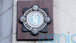 Gardai discover two men hiding in lorry at port