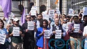 Teenagers behind rise in racist attacks in Ireland – special rapporteur