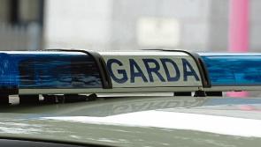 BREAKING: Man, 20s, hospitalised after being shot in Limerick
