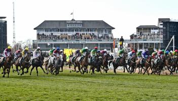 Letterkenny Live Grand National Sweepstakes 2 - the runners and riders