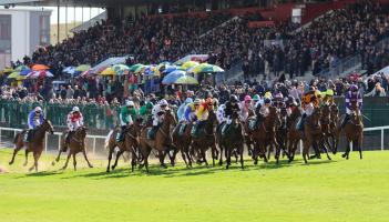 COMPETITION TIME: Win tickets to Punchestown Festival 2025 in Kildare