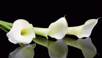 &lsquo;It&rsquo;s devastating&rsquo;: Limerick woman who died in house fire named locally