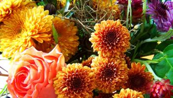 Death notices and funeral arrangements for Donegal on Sunday, October 19