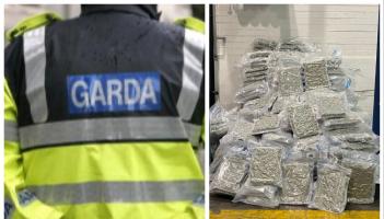Half-tonne of cannabis worth over &euro;10m seized and three arrested in major Garda drug bust