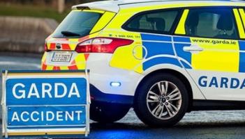 RIP: Pedestrian dies after being struck by car in early hours crash as garda&iacute; issue appeal