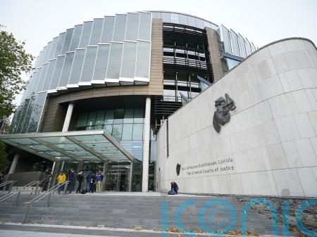 Court delays sentencing of IS supporter who stabbed garda
