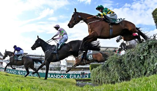 Letterkenny Live Grand National Sweepstakes 1 - the runners and riders