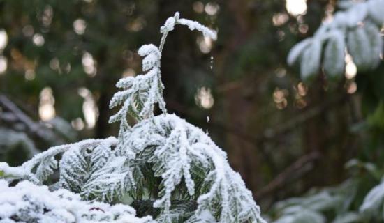 Rather windy in Donegal later, with falls of sleet and snow for a time