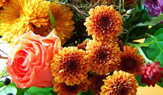 Death notices and funeral arrangements for Donegal on Saturday morning, March 7