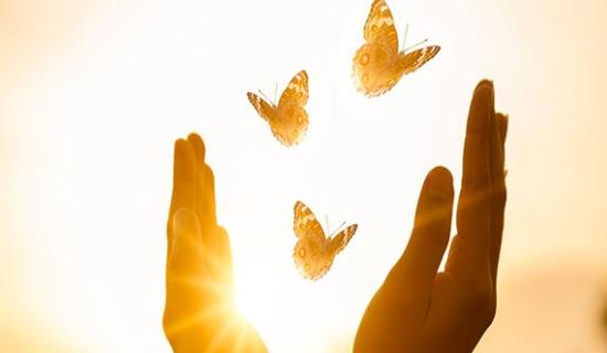 Monthly meeting for Donegal parents dealing with loss of child announced