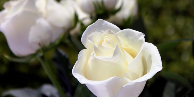 Death notices and funeral arrangements for Donegal on Friday morning, February 6