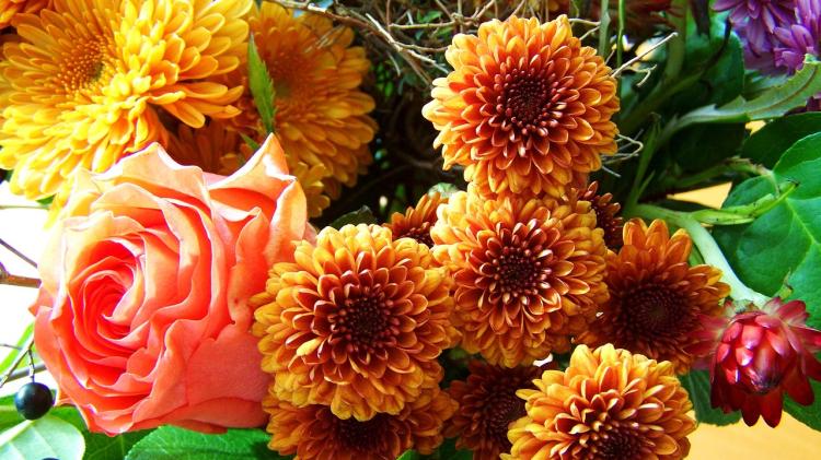 Death notices and funeral arrangements for Donegal on Monday morning, February 23