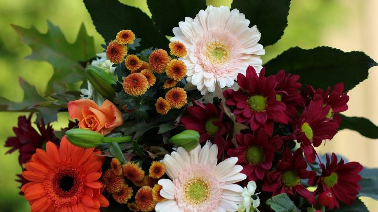 Death notices and funeral arrangements for Donegal on Saturday morning, March 7