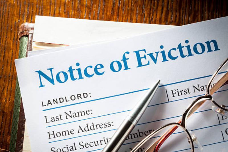 Council urged to act now on the housing crisis