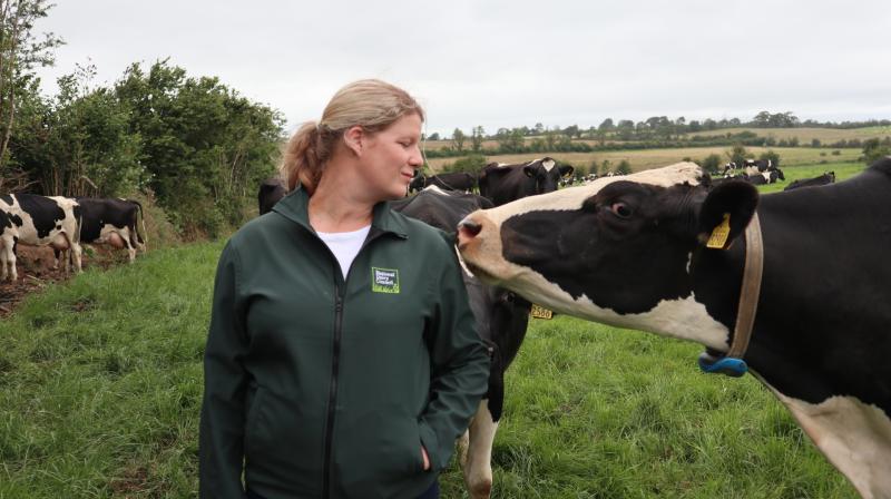 Irish dairy farming - An industry built on over 6,000 years of expertise