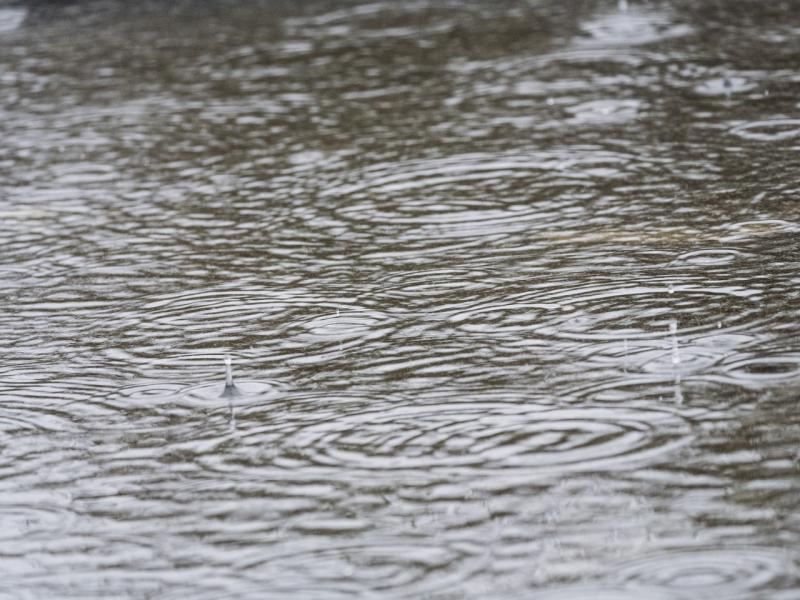 ALERT: Status yellow weather warning issued warning for 19 counties