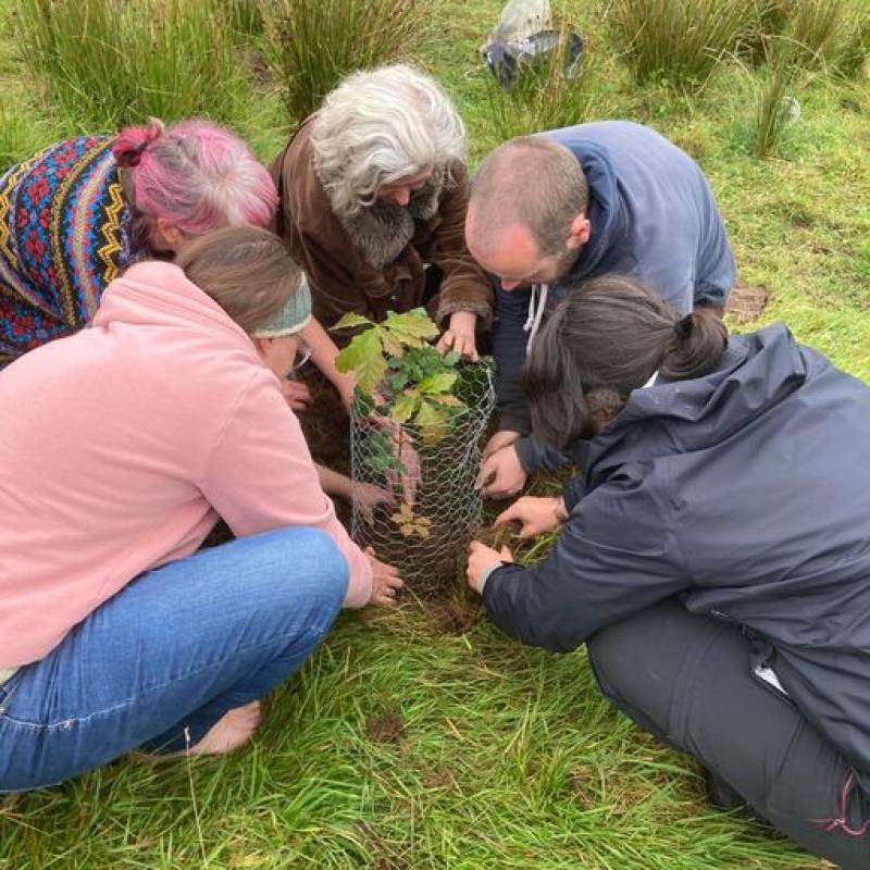 National: Campaigners pull up Sitka tree saplings from Coillte bog