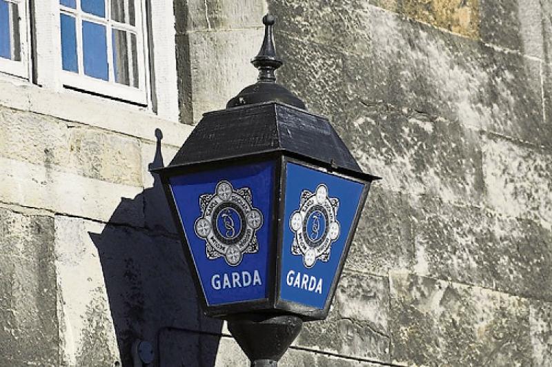 National: Gardaí renew their appeal for information on double fatality