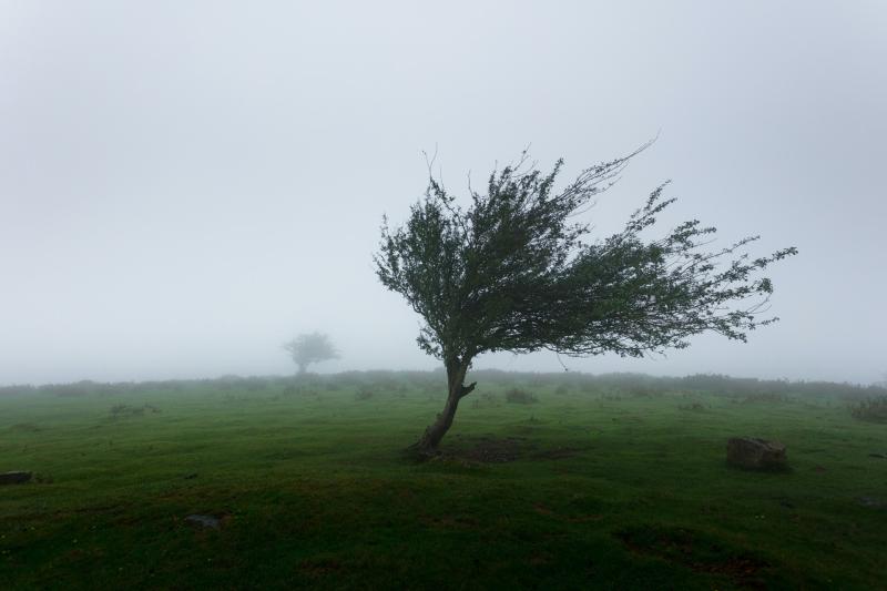 National: Met Éireann issues warnings with five counties pinpointed for battering 