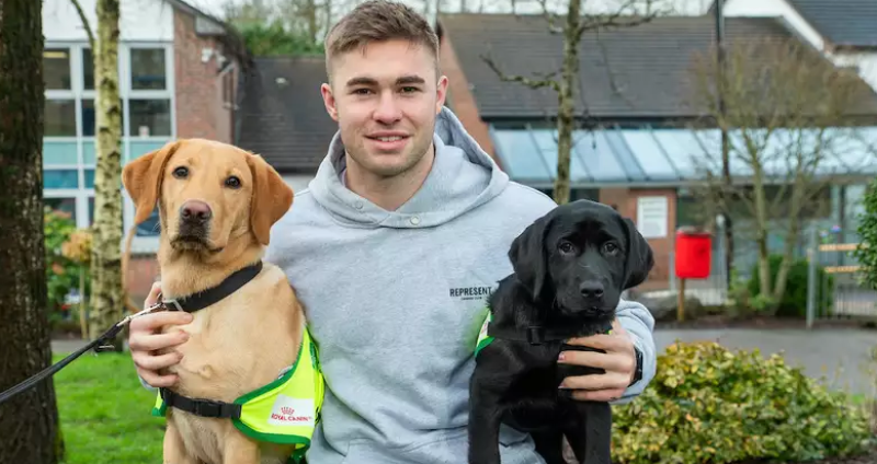 National: Irish Guide Dogs for the Blind are looking for puppy raisers