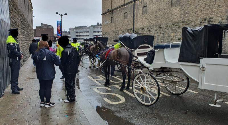 National: Garda&iacute; arrest two operators of horse-drawn carriages for 'intoxicated driving'