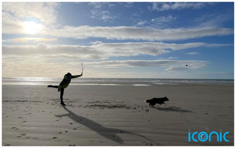 National: Spending quality time with your dog can cut your stress and anxiety 
