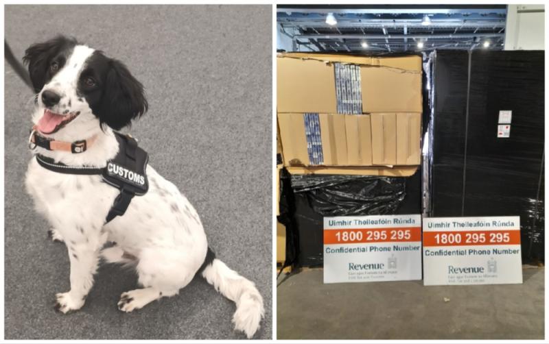 National: Revenue seize over €3.6m of illicit cigarettes with help from detector dog Milo