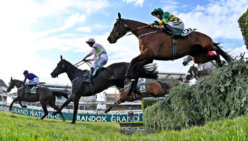 Letterkenny Live Grand National Sweepstakes 1 - the runners and riders
