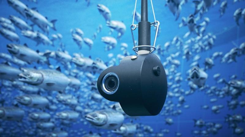 Donegal acquatech businesses encouraged to apply for BIM mentoring programme