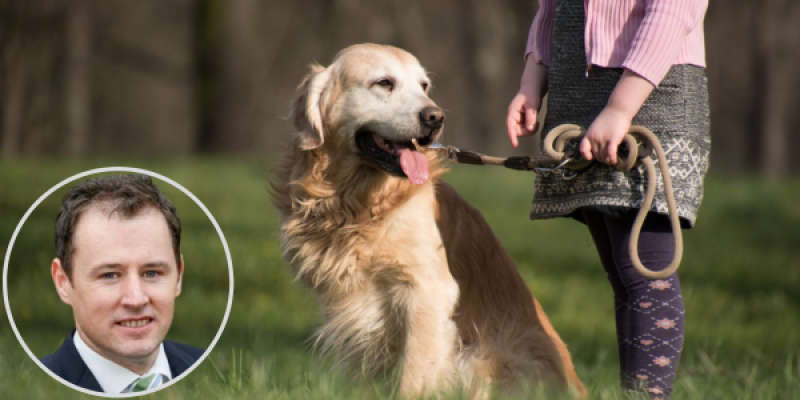 McConalogue says new awareness campaign for dog owners is 'essential'