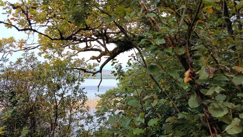 A cool Sunday in Donegal with outbreaks of rain but good weather on the way