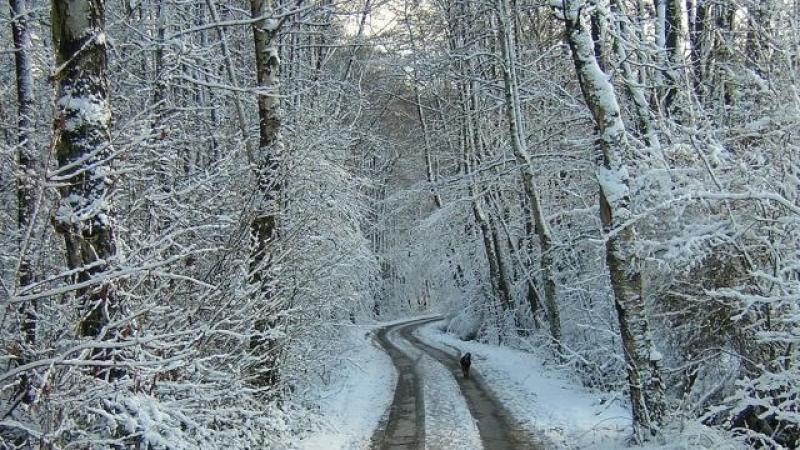 A frosty start and a dry and sunny day in Donegal with sub-zero temperatures later