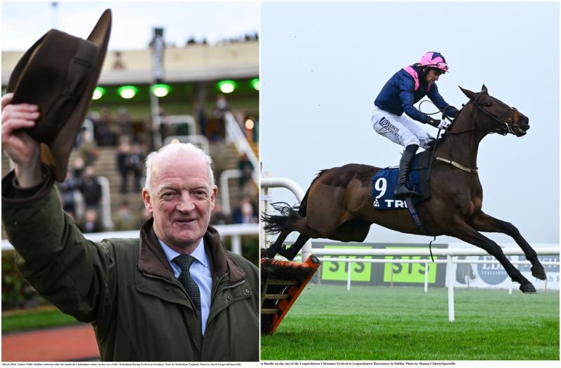 Irish fans rushing to bet on 'dead cert' Willie Mullins Cheltenham accumulator 