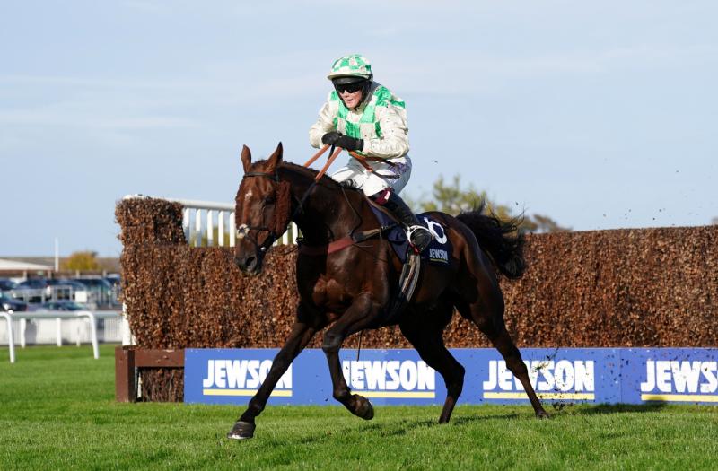 'It's gutting' - Sad death announced of Grand National runner Celebre d’Allen