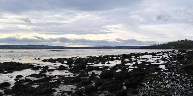 Donegal's Friday is set to be a windy one  with outbreaks of rain or drizzle