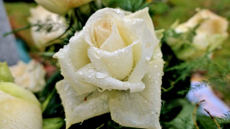 Death notices for Donegal on Monday morning, June 30