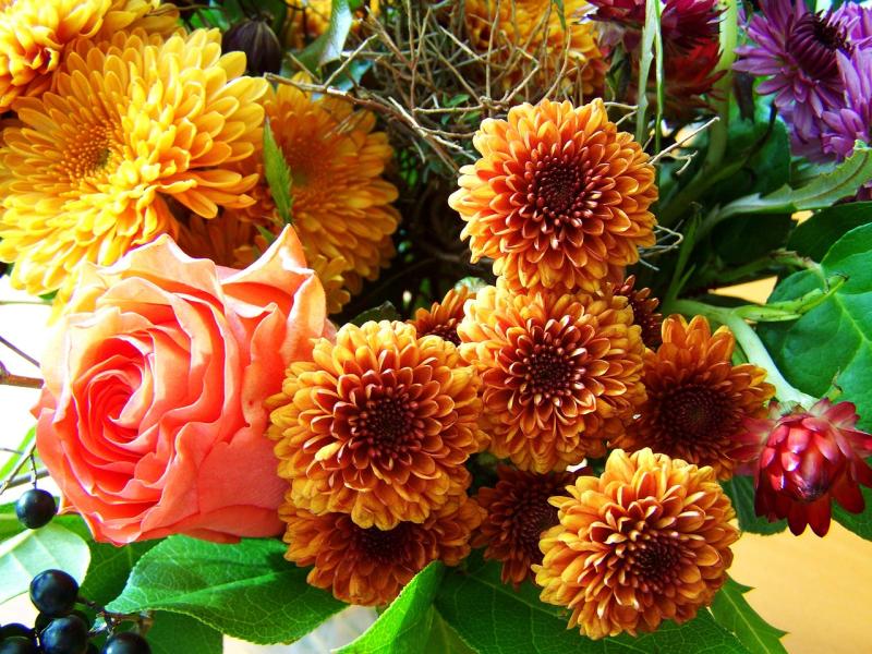 Death notices and funeral arrangements for Monday morning, July 14